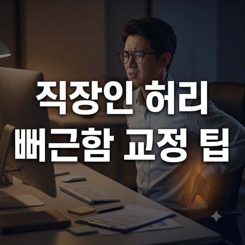 종일 앉아서 일하는 직장인 허리 뻐근함 줄여준 의자 바른 자세 교정 팁