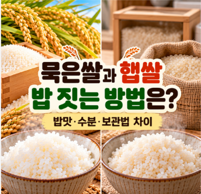 묵은쌀과 햅쌀 밥 짓는 방법은 어떻게 다를까요?｜밥맛·수분·보관법 차이