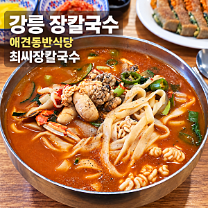 강릉 장칼국수 애견동반식당 최씨장칼국수