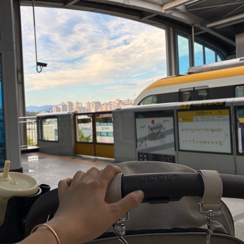 Places to Visit in Daegu with a Baby: A Walk Around Suseongmot Lake with a 14-Month-Old by Subway