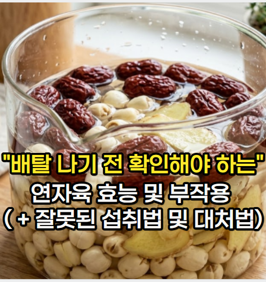 연자육 효능 "믿고 먹다 배탈 나기 전 확인해야 하는" 연자육 부작용 및 먹는 법