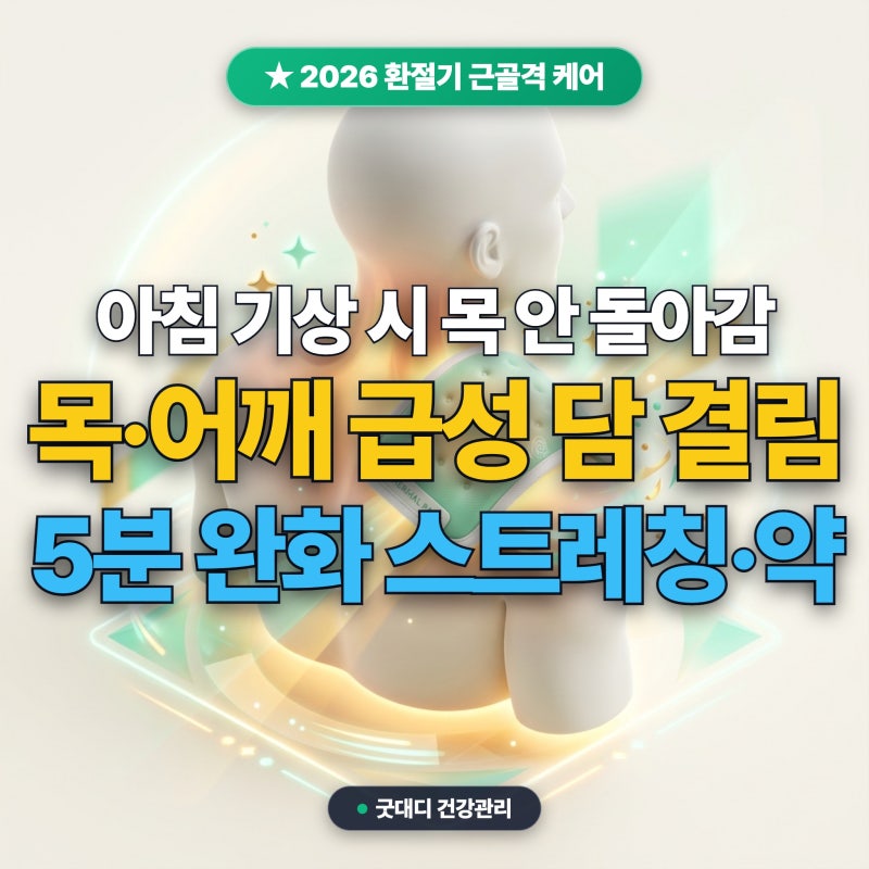 2026 가을 환절기 목 어깨 담 결림 원인과 5분 완화 스트레칭