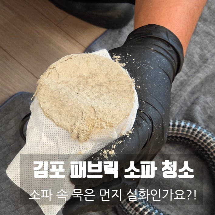 김포 소파 출장 청소 후기 Ⅰ 까르꼼 홈케어 비치움 패브릭 소파 케어 솔직 장단점