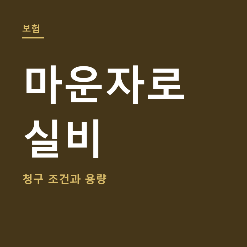 마운자로 실비 총정리 (+용량, 술, 일본 가격)