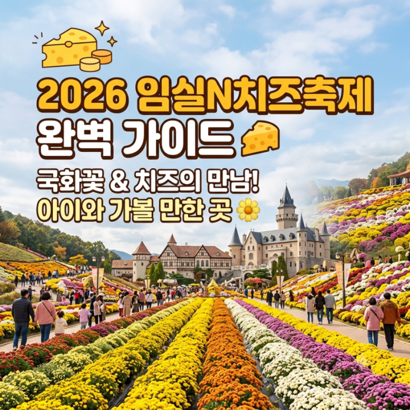 천만송이 국화와 고소한 치즈 향 가득! 2026 임실N치즈축제 방문 가이드