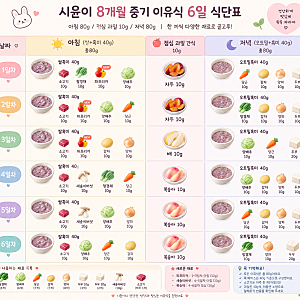 8개월 중기이유식식단표 중기이유식재료