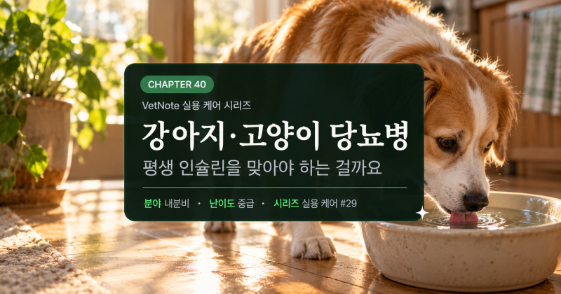 강아지·고양이 당뇨병｜평생 인슐린을 맞아야 할까? 증상부터 관리까지