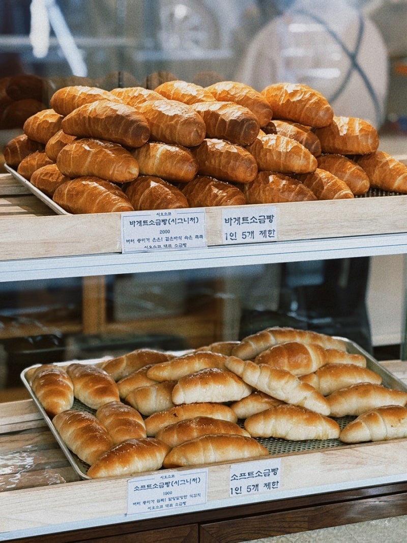 창원 빵지순례 소금빵 맛집 시오소코