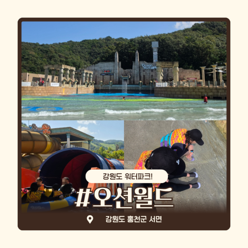 오션월드 가을 후기 | 갑자기 가게 된 워터파크 입장료 할인부터 준비물, 꿀팁까지