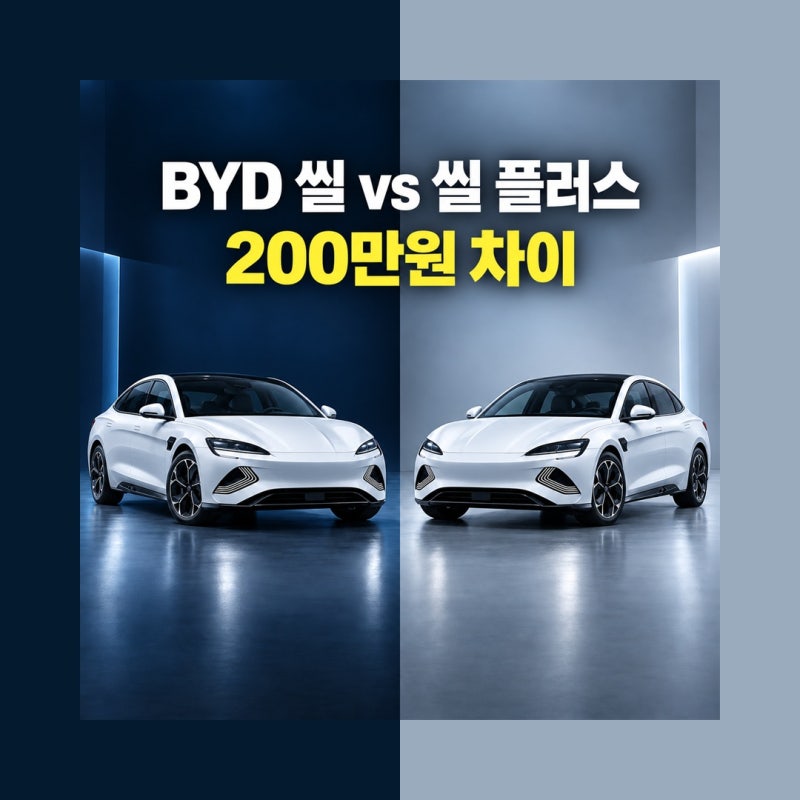 BYD 씰 vs 씰 플러스 200만원 차이, 어떤 트림이 맞을까