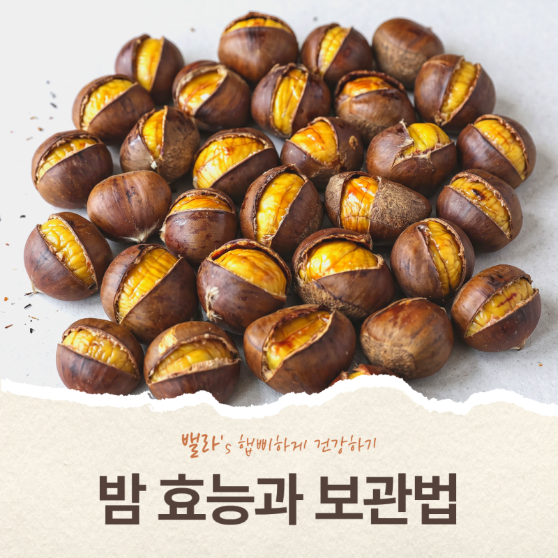 밤 효능과 먹는법, 생밤·군밤·삶은밤 칼로리 3가지 차이