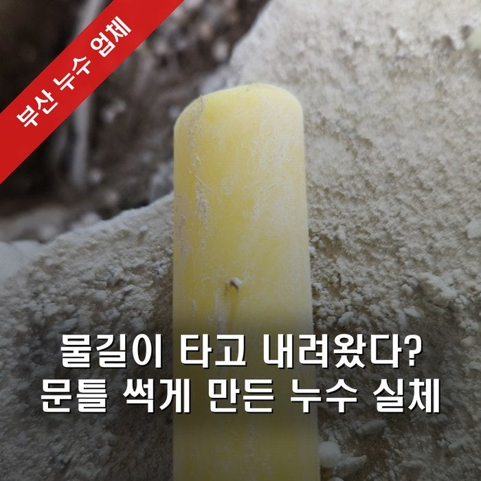 화장실 누수, 설마 이 정도일 줄이야… 문틀 썩기 전 꼭 알아야 할 누수 업체 비용