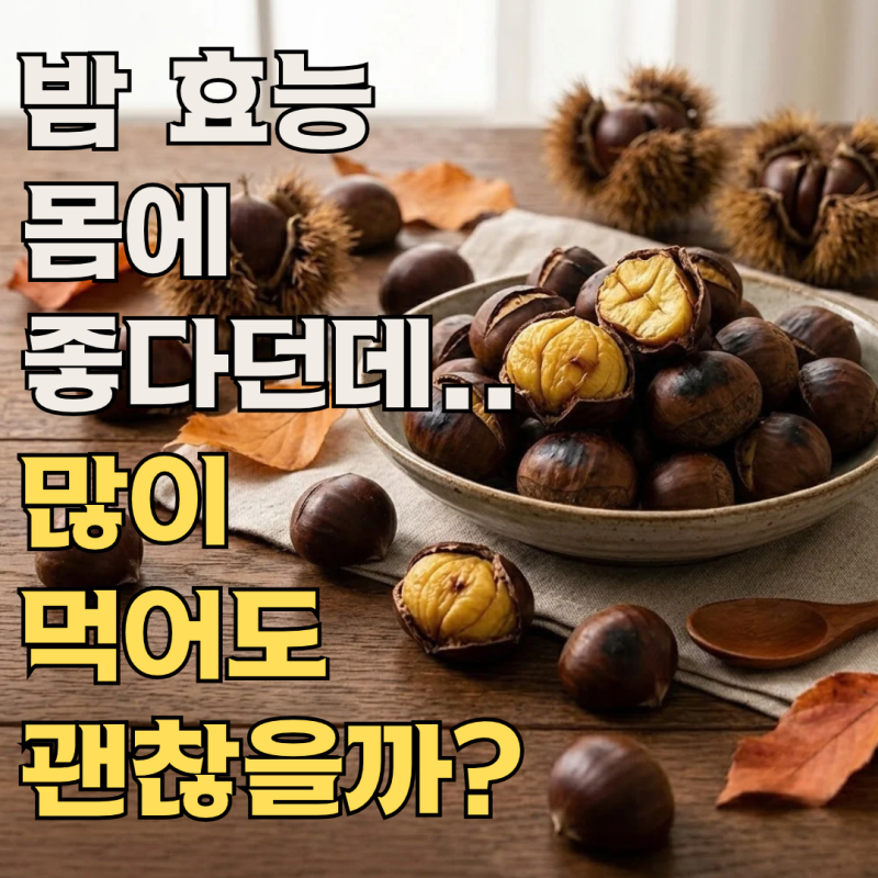 밤 효능, 몸에 좋다고 많이 먹어도 될까? 칼로리와 영양성분 챙기는 건강하게 먹는 방법