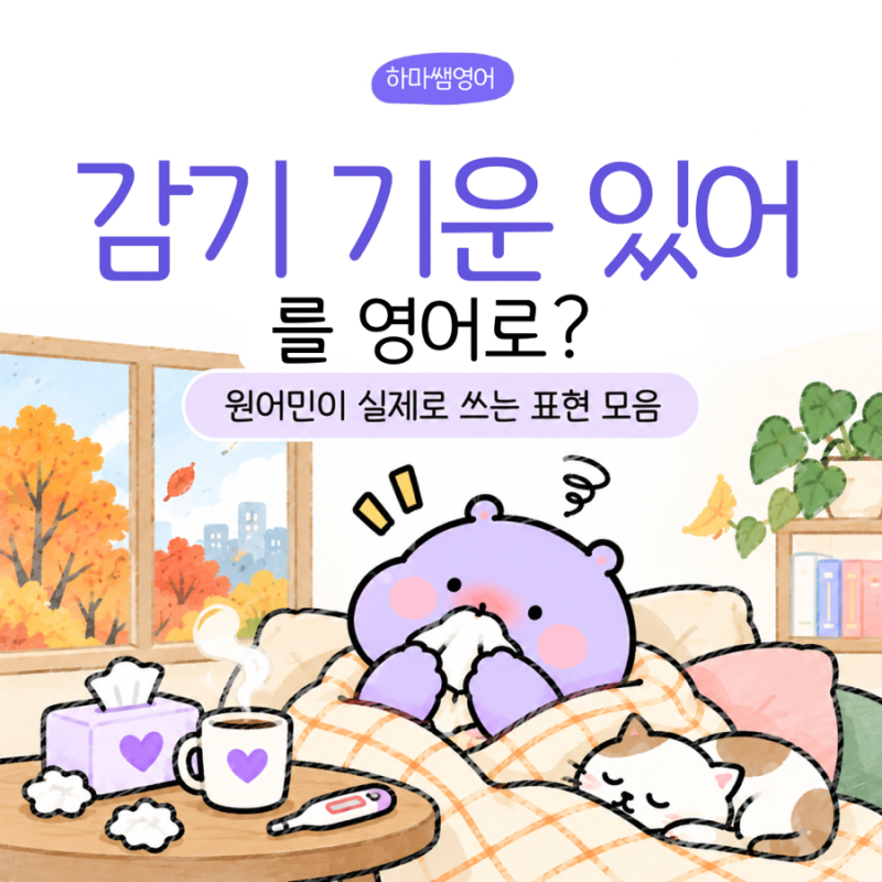 감기 기운 있어 영어로? | 영어권 나라에서 실제로 쓰는 감기 영어 표현