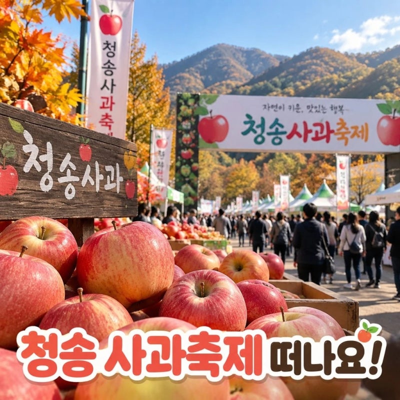 청송 사과축제 당일치기 여행 코스