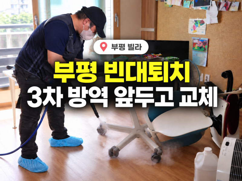 빈대 퇴치, 계속 나오는데 업체에서 해도 소용이 없을까요?