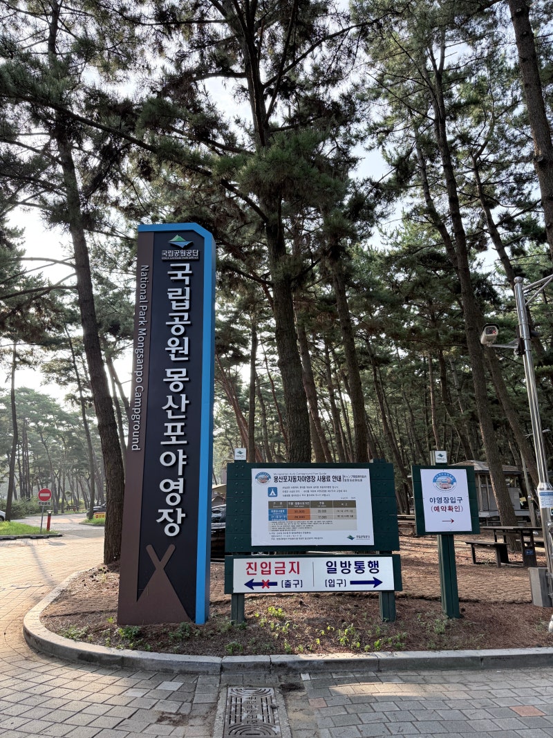 몽산포 야영장 후기｜바다 바로 앞 국립공원 캠핑장, 찹쌀이와 첫 캠핑