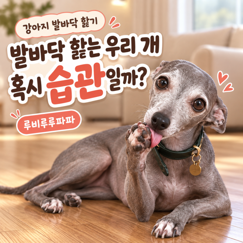 강아지 발바닥 핥기, 습관일 수도 있어요