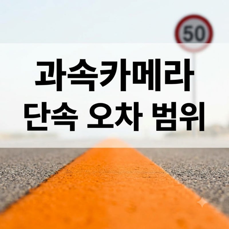 과속카메라 속도 초과 단속 기준 및 오차 범위｜차량 과태료 조회 및 사전 납부 감경법