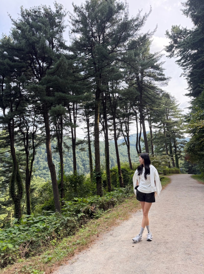 [서울 근교 드라이브 산책코스 추천] 가평 잣향기 푸른숲 & 숯불닭갈비 맛집
