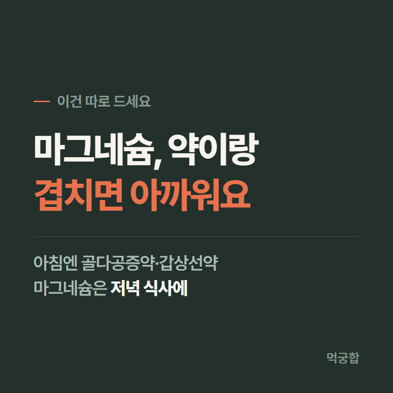 아까워요! 마그네슘 복용시간, 골다공증약·갑상선약과 겹치면 손해 / 하루 권장량 정리