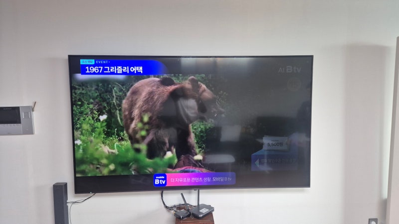 경기도 안성시 공도읍 백라이트 교체 수리전문센터 LG 86YQ9300KNA 확인 후에 방문