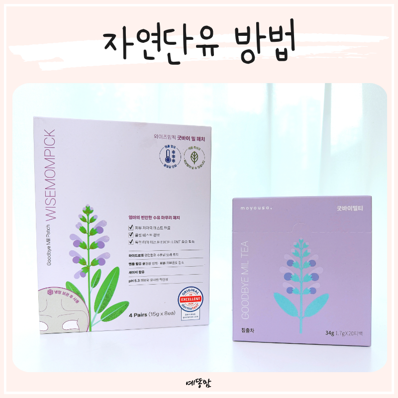 단유하는법 자연단유방법으로 천천히, 단유마사지 없이 가능할까