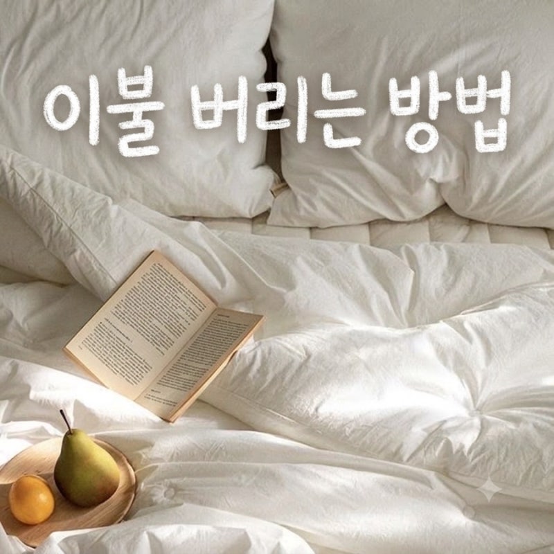 이불 버리는 법 총정리! 종량제·대형폐기물·헌옷수거함 헷갈리면 이것만 보세요.