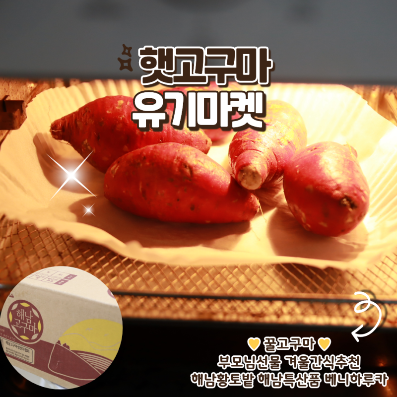 유기마켓 꿀고구마 햇고구마 에어프라이어 당도 폭발하는 산지직송 리얼 후기