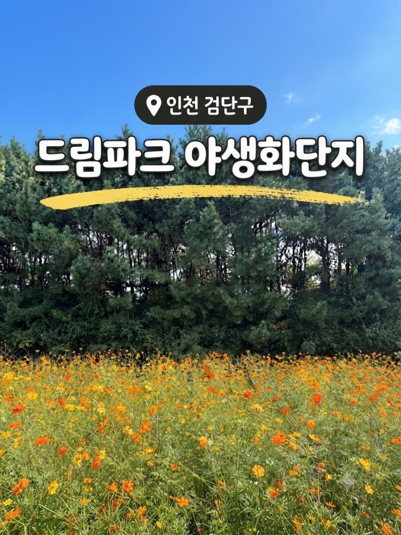 Incheon Dream Park Wildflower Complex: A Great Place for Kids, Free Parking, and Playground