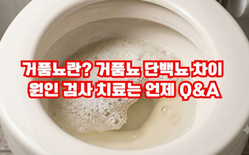 거품뇨란? 거품뇨 단백뇨 차이 증상 원인 검사 치료는 언제? 관리법 Q&A