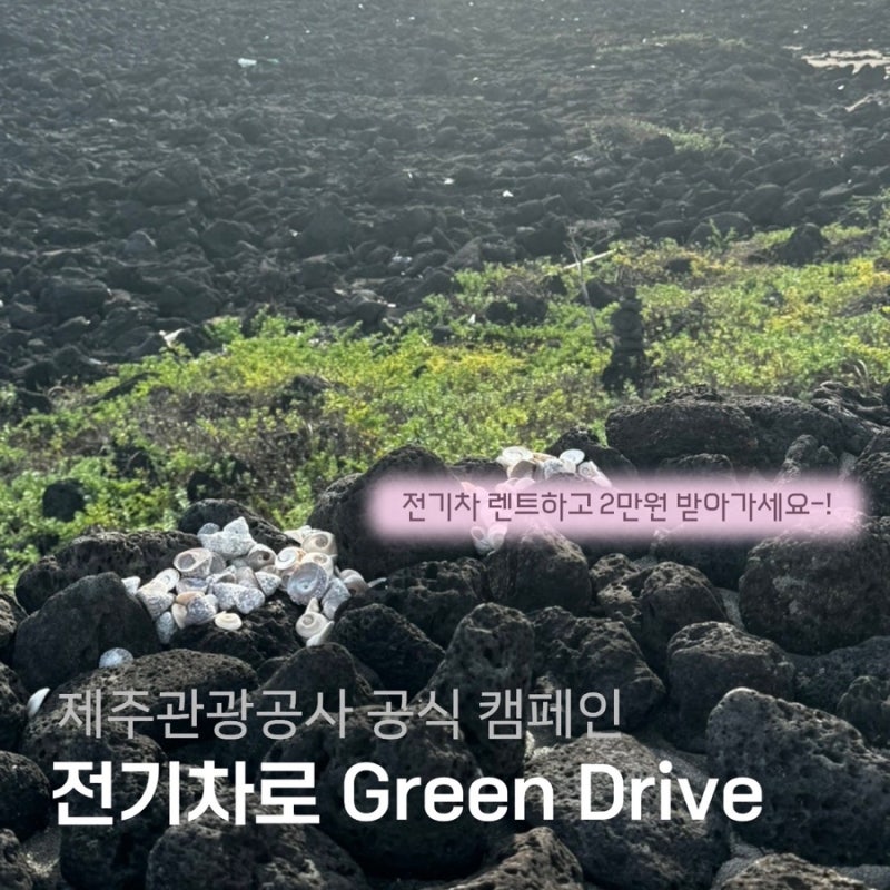 제주도여행 필수 렌트카 | 전기차 렌트하면 2만원을 준대요