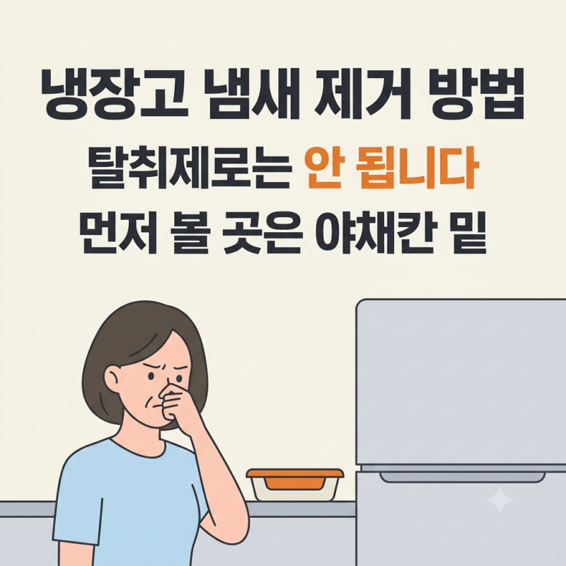냉장고 냄새 제거제 넣어도 그대로인 이유, 김치냉장고 냄새 제거 방법까지