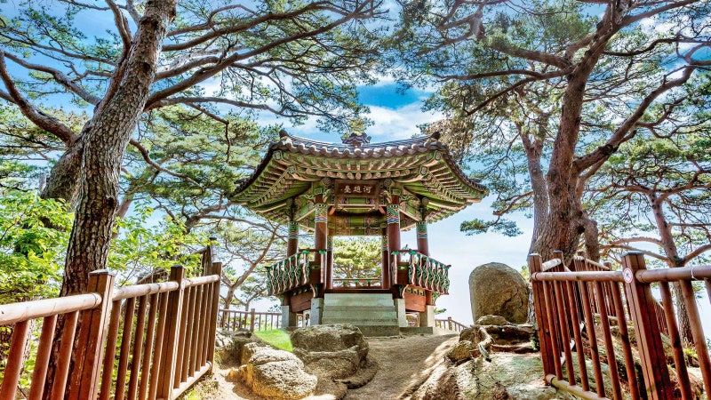 양양 하조대 무인등대 & 서피비치 1박2일 코스: 갯바위 데크길 덜 걷는 주차 명당 & 동호해변 ....