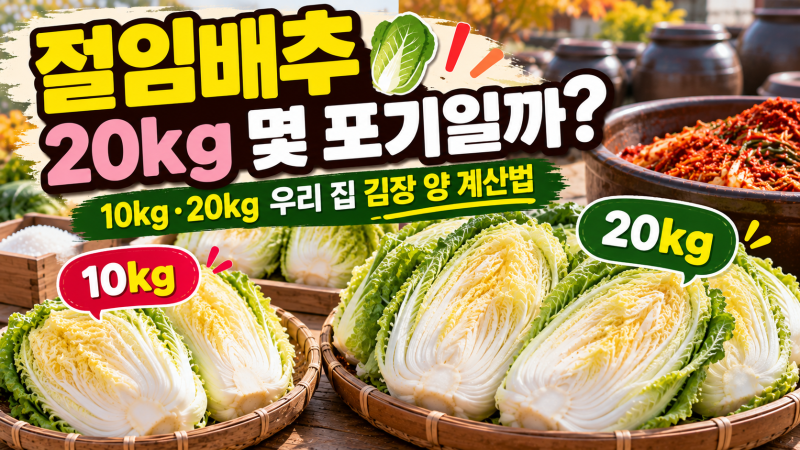절임배추 20kg 몇 포기일까? 10kg·20kg 김장할 때 필요한 양 계산법
