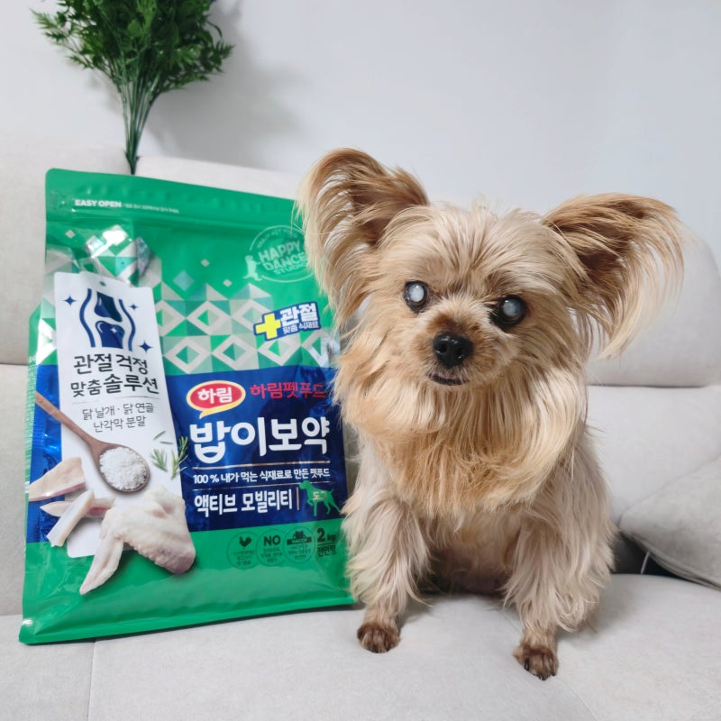 반려견 관절 고민엔 밥이보약 액티브 모빌리티 강아지사료