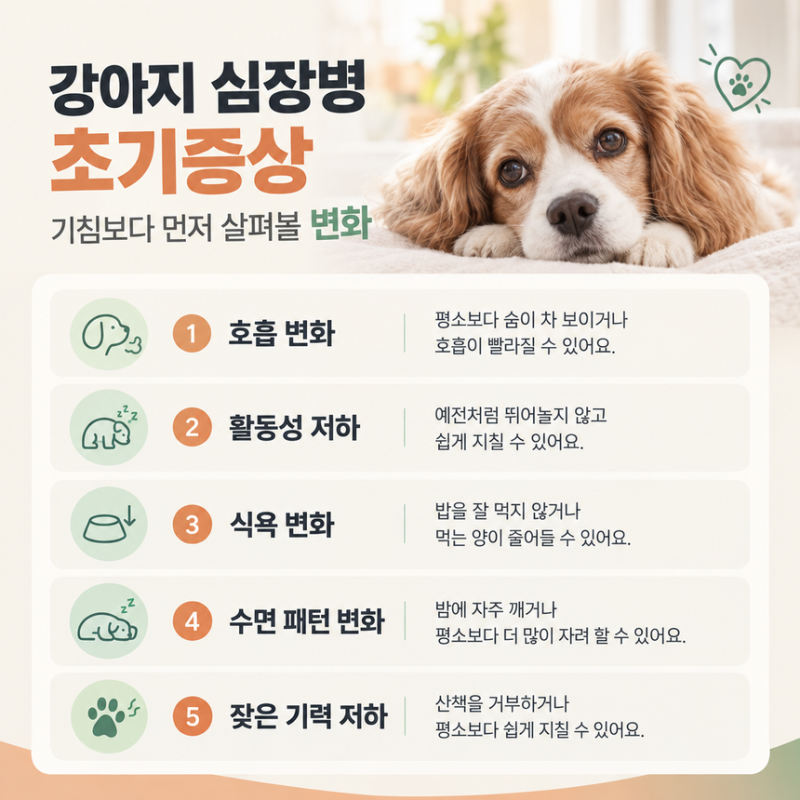 강아지 심장병 초기증상, 기침보다 먼저 살펴볼 변화