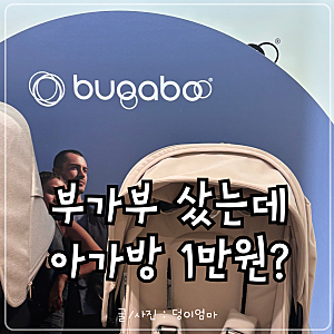 부가부 버터플라이2 구매 후기｜스토케 요요5 고민하다 선택한 이유 (+AK백화점 할인/아가방 ....