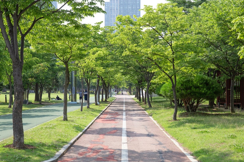 仁川大公園停車場·露營場總整理，出發前請務必確認這些資訊