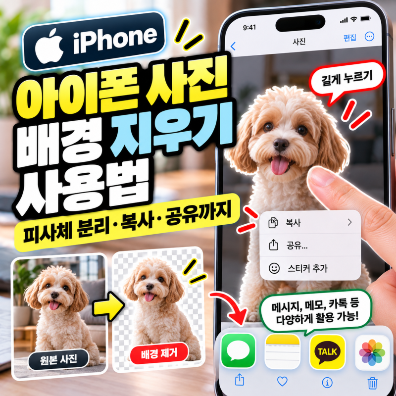 아이폰 사진 배경 지우기 사용법｜피사체 분리·복사·공유 방법