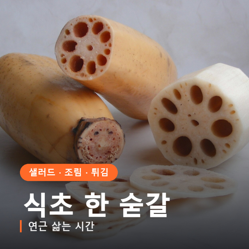 연근 삶는 시간, 식초 한 숟갈이 색을 가릅니다