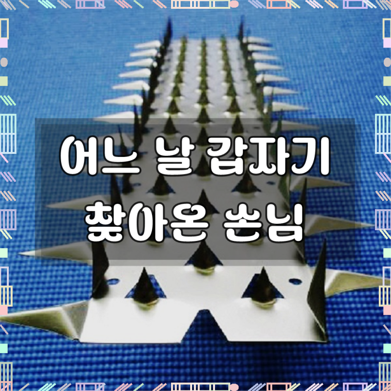 스테인리스 ALL 가시 버드스파이크 실외기 비둘기퇴치 용품 길고양이 퇴치 담장 옥상 베란다 ....