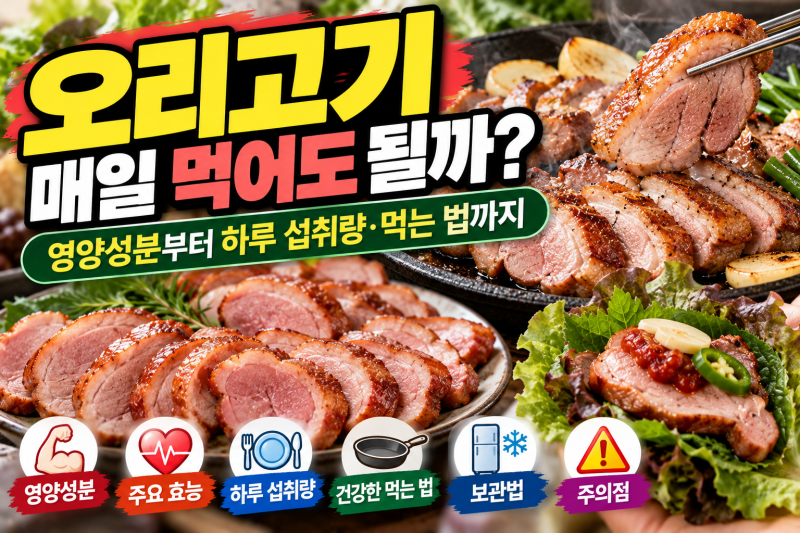 오리고기 매일 먹어도 될까?｜영양성분부터 하루 섭취량·먹는 법까지