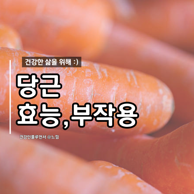 당근 효능 및 부작용 당뇨 간 칼로리