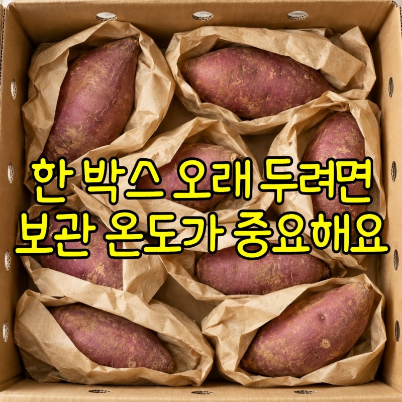 고구마보관방법 한 박스 오래 두려면, 찐고구마는 냉장 냉동으로
