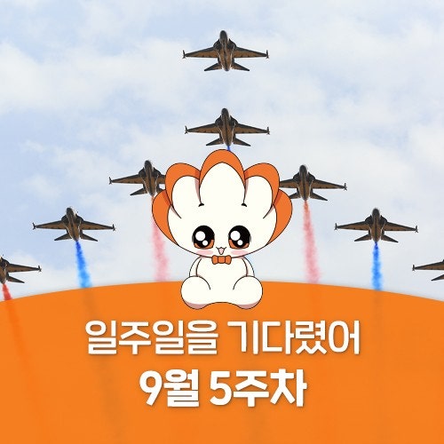 전남광주 WEEK 9월 5주차, 여기 가려고 일주일을 기다렸어!