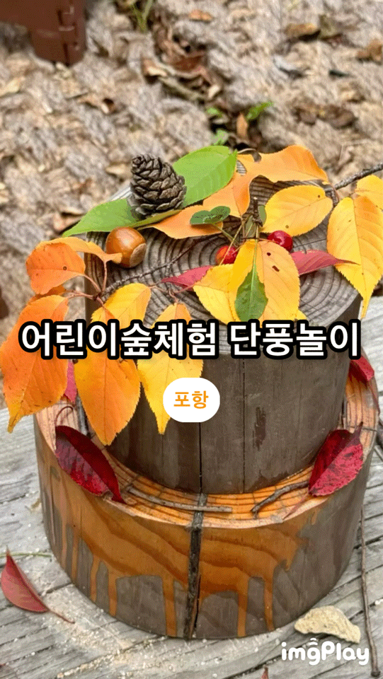 [포항]경상북도수목원유아숲 체험원 단풍놀이 가을축제 대구 근교 가볼 만한 곳 아이와 가볼....