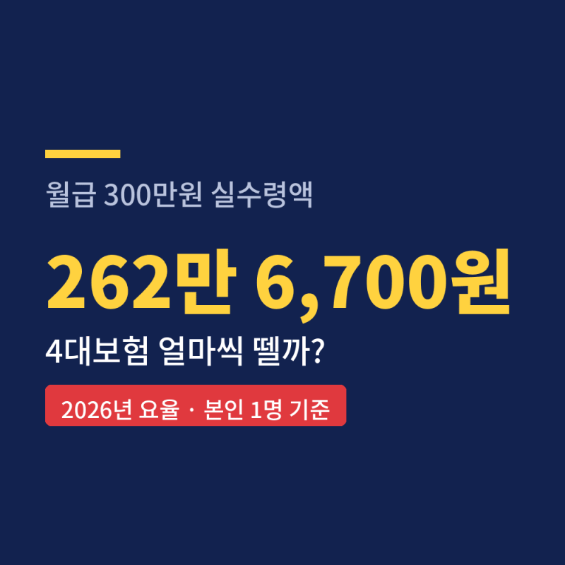 월급 300만원 실수령액, 4대보험은 29만원
