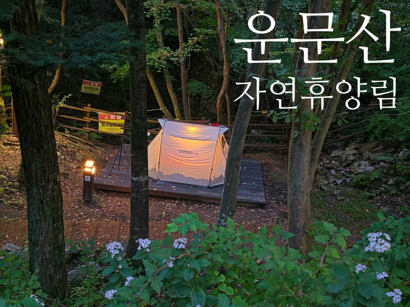 추석연휴, 운문산자연휴양림 솔로캠핑(2026.09.26~27)