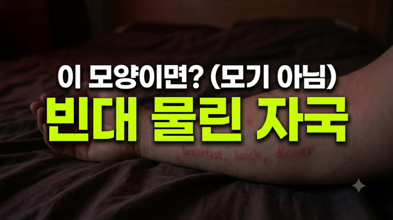 빈대 물린 자국 모양 특징과 모기 물림 구별법 및 가려움 완화 연고 정리